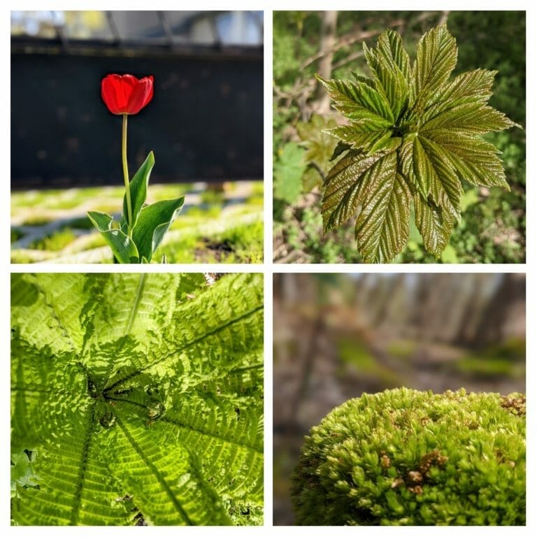 Agile Meetings leicht und produktiv