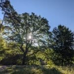 Sprechlaufwandern - Bewegung neu erleben 6 - 2025