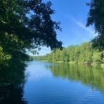 Sprechlaufwandern - Bewegung neu erleben 5 - 2025