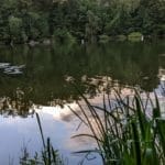 Sprechlaufwandern - Bewegung neu erleben 5 - 2025