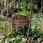 Sprechlaufwandern - Bewegung neu erleben 9 - 2025