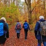 Sprechlaufwandern - Bewegung neu erleben 9 - 2025