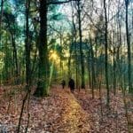 Sprechlaufwandern - Bewegung neu erleben 19 - 2025