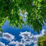 Sprechlaufwandern - Bewegung neu erleben 15 - 2025